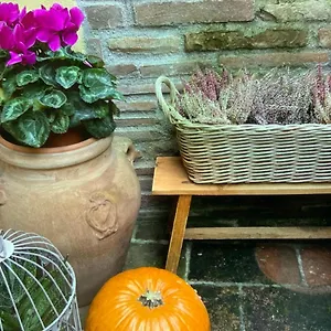 Casa Gaia Hébergement de vacances Vicopisano